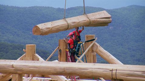 Timber Kings auf 3plus