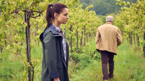 Weingut Wader auf SWR