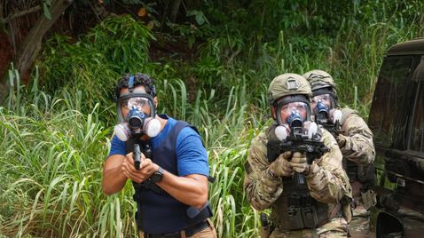 Navy CIS: Hawaii auf Sat.1 emotions