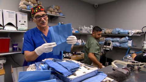 Tierarzt Dr. Jeff - Der Rocky Mountain Doc auf Animal Planet