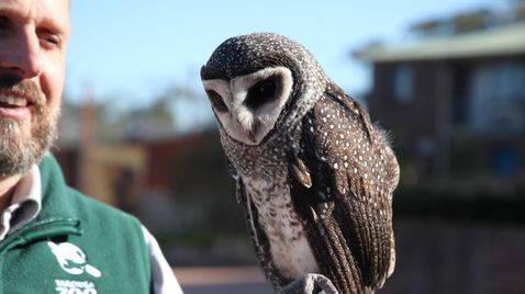 Zoo und so - Tierisch wild! auf ORF 1