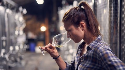 Weingut Wader auf SWR