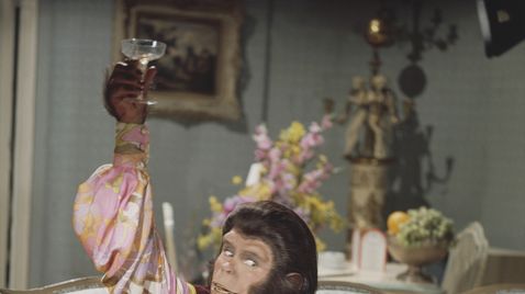 Flucht vom Planet der Affen auf Warner TV Film