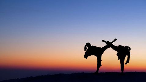 Bloodsport auf Puls 4