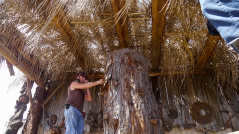 Redwood Kings - Träume aus Holz auf Animal Planet