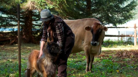 Alaskan Bush People auf Discovery Channel