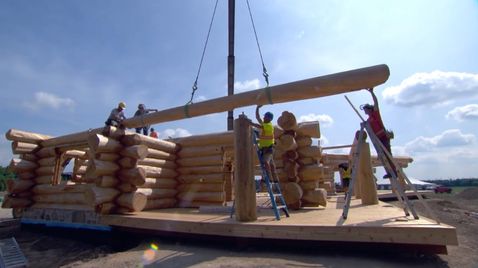 Timber Kings auf 3plus
